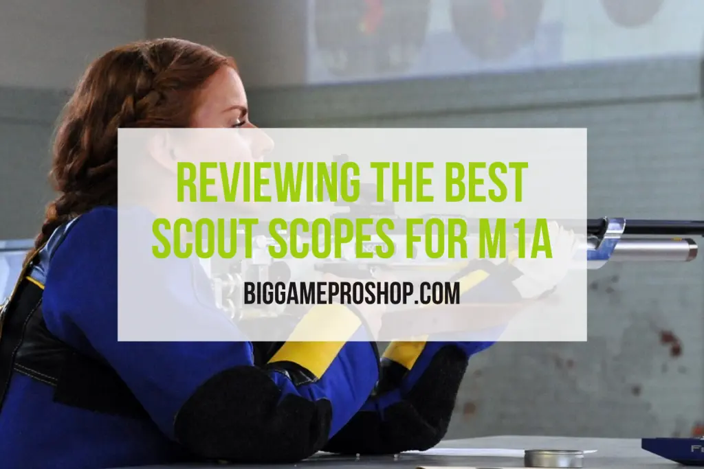 Best Scopes for M1A