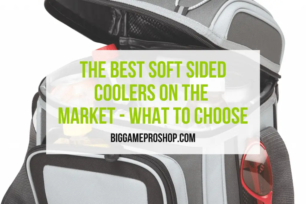 Best Soft Sided Coolers