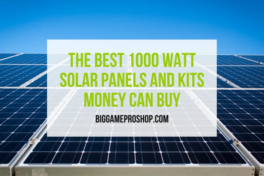 Best 1000 Watt Solar Panels and Kits