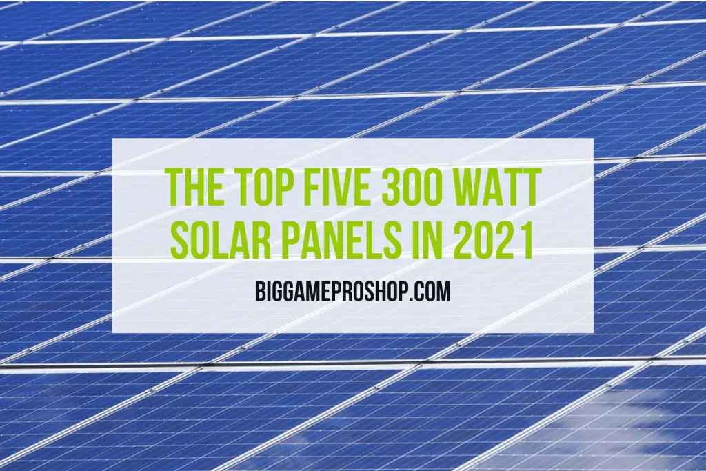 The Top Five 300 Watt Solar Panels In 2021
