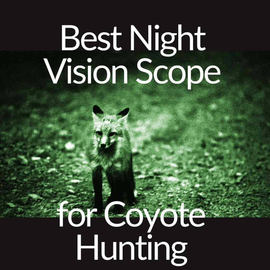 best night vision scope for hunting coyotes